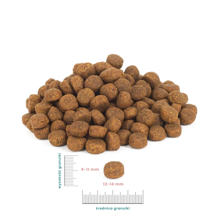 perro-miarka-mala.png