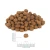 perro-miarka-junior-2-2048x2048-1.webp