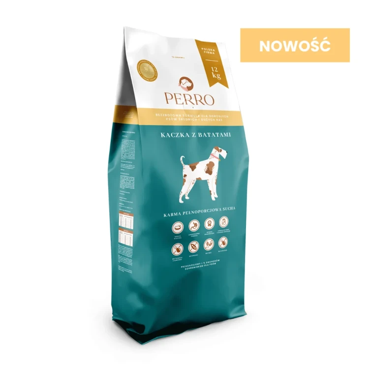 STARTER-PERRO-4.webp